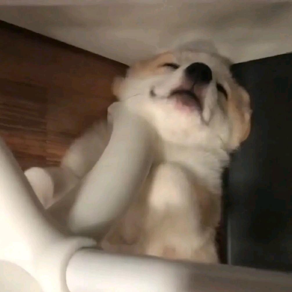 开心最重要啦啦(有关必回)