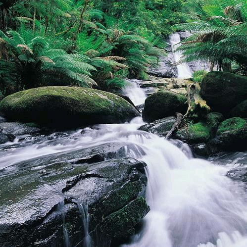 （高山流水）