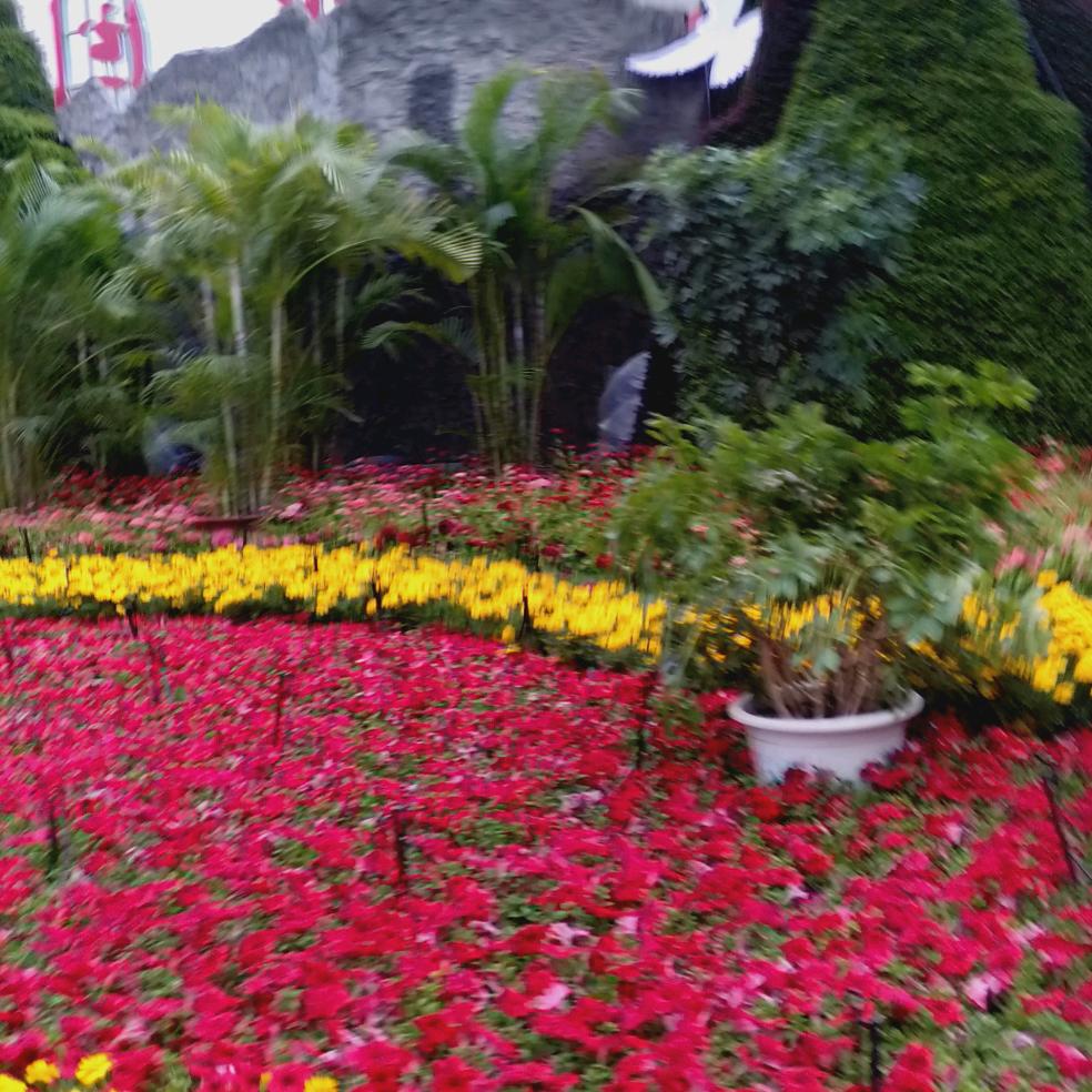 流星雨，星斗银河