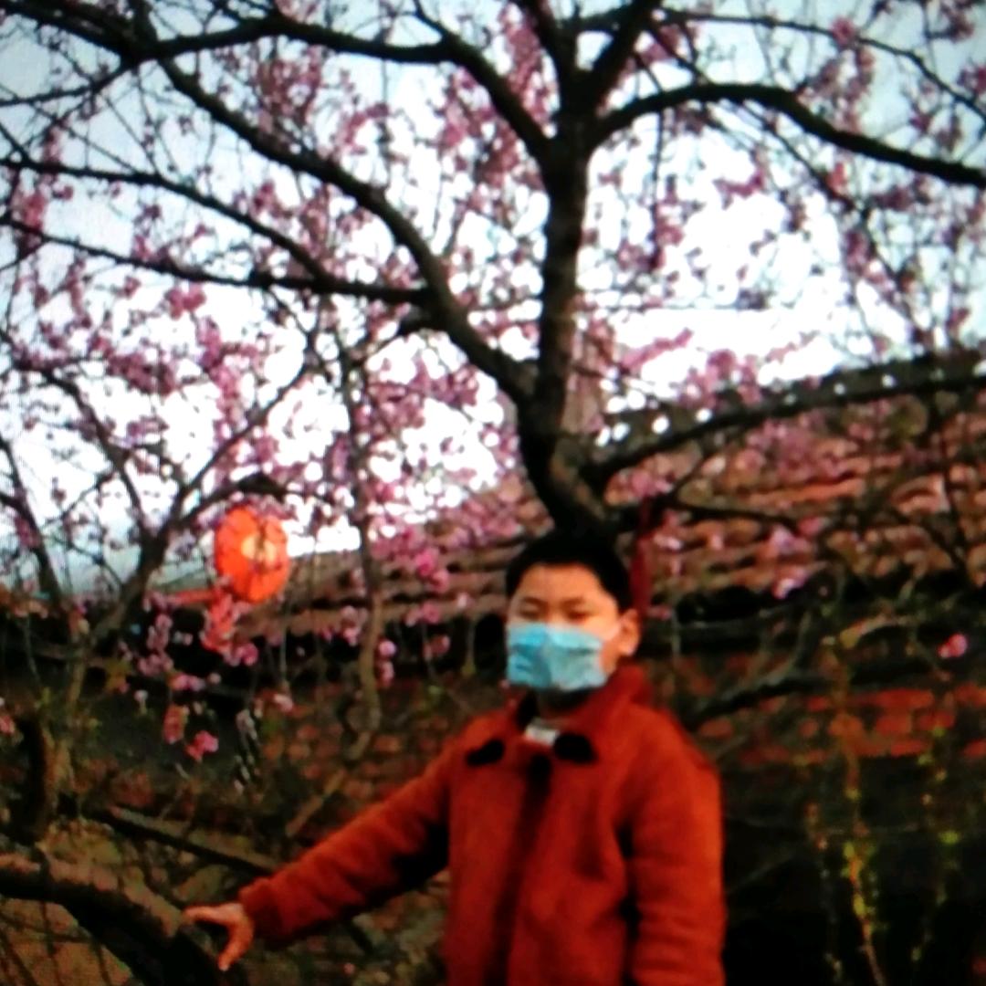 赵玉兵