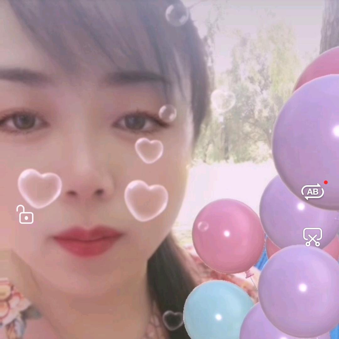 梅兰竹菊