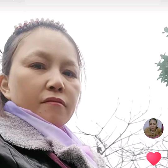 开心果@
