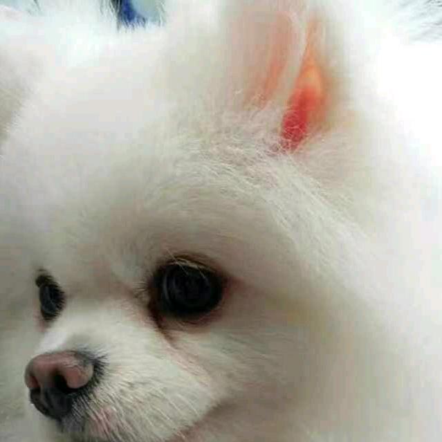 王