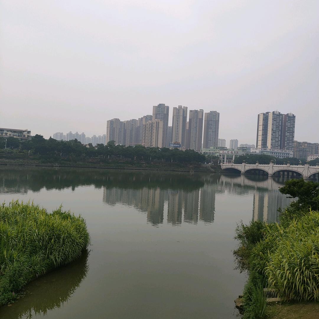燃烧吧熊猫