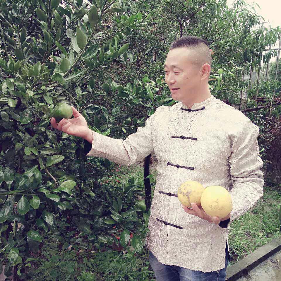 红尘