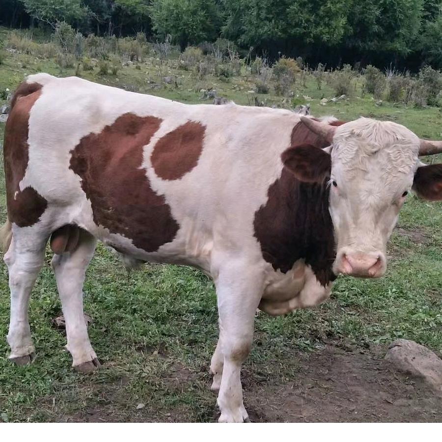 用户4660484095404开心快乐