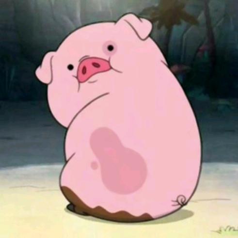 p[💕o｡ιον∈｡o💕]t 猪🐷