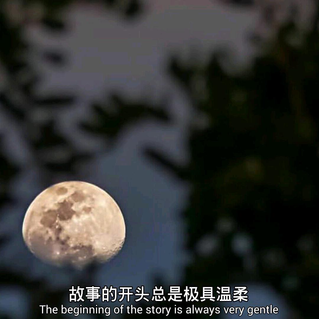 北京遇上西雅图