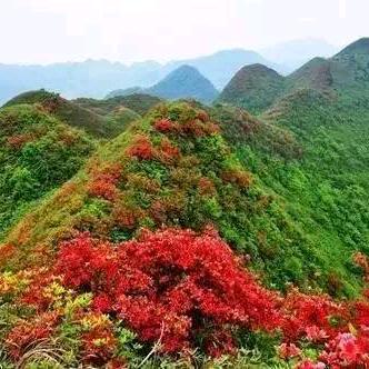 越夏
