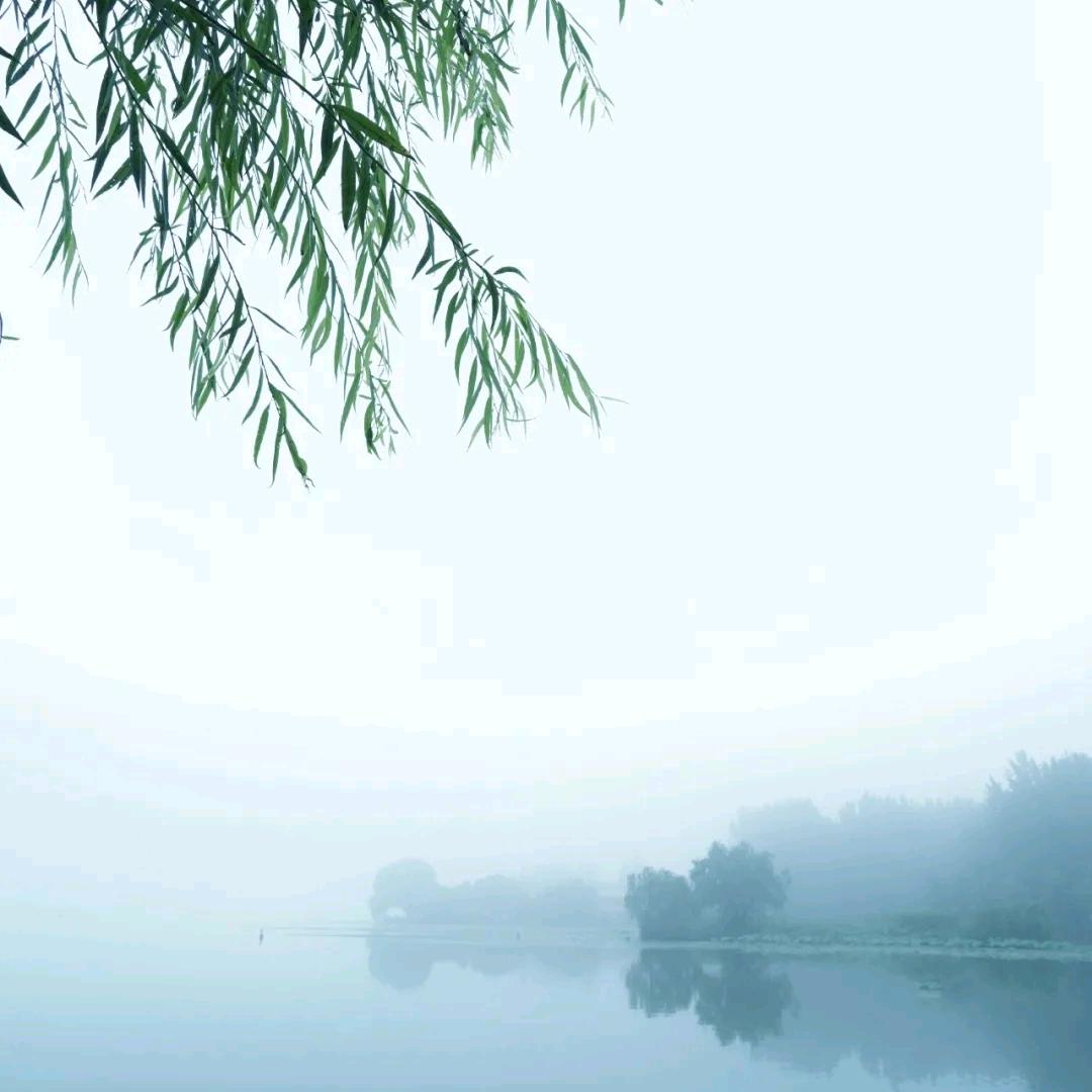 南柯梦