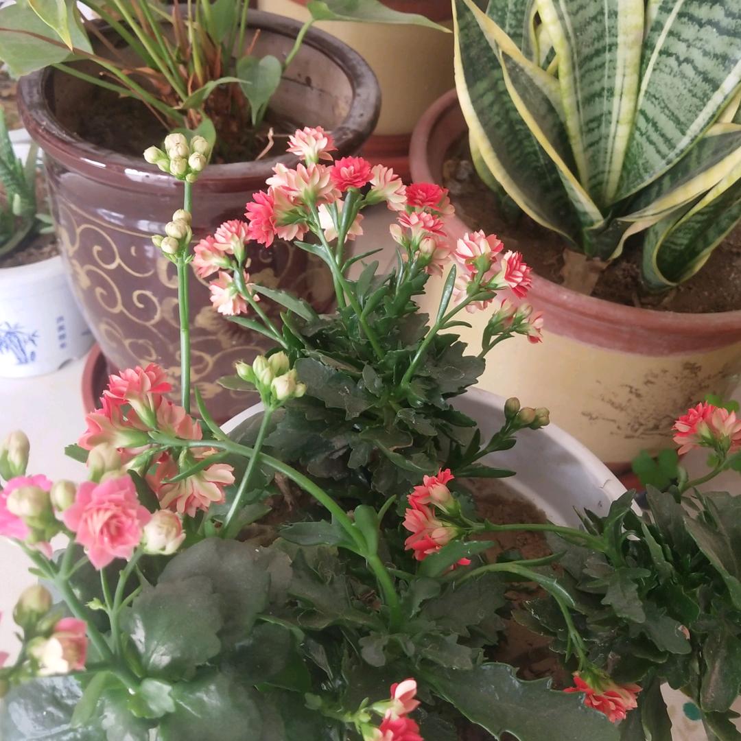 爱的背后