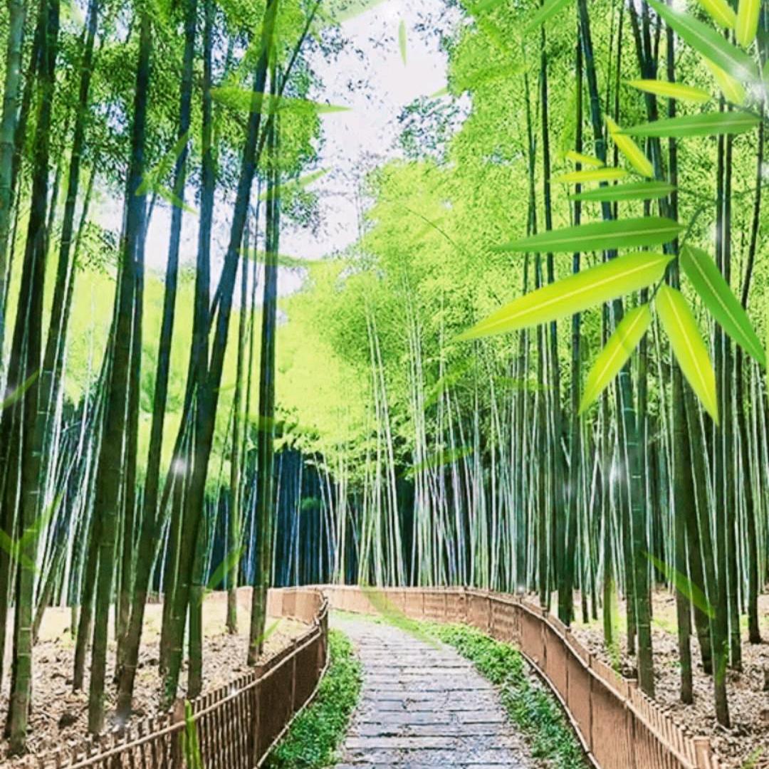 随意