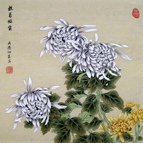 日出遇貴