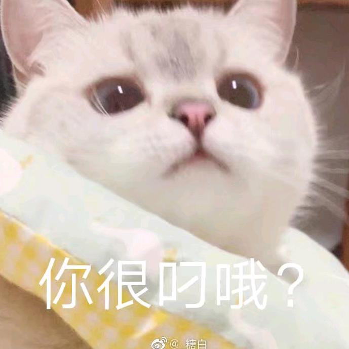 陆皮皮