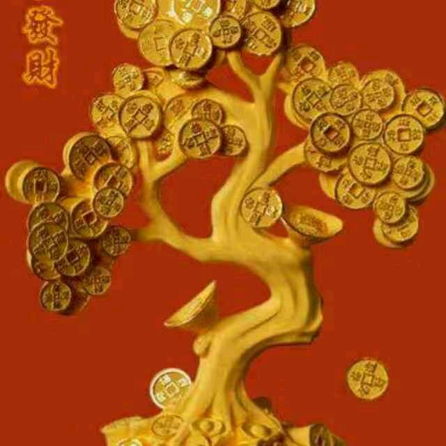 🌲开心每一天🌲