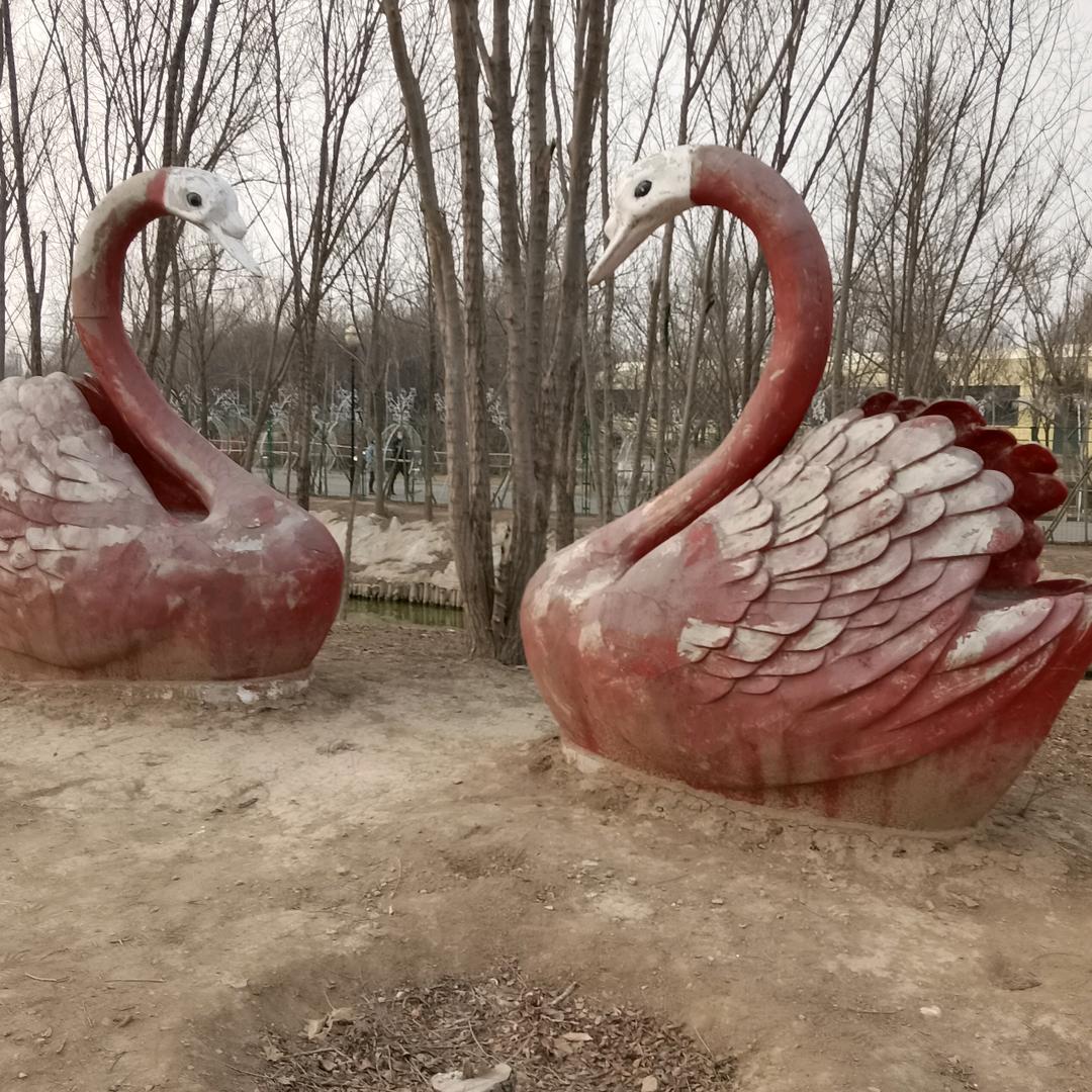 绿色清茶