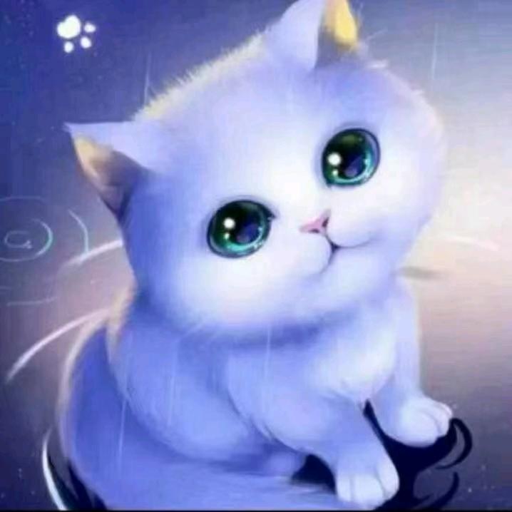 ✨唯一🌟