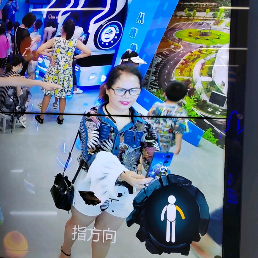 敏姐手势舞