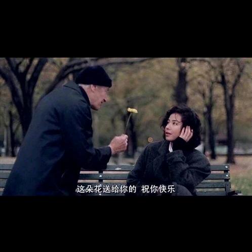 在人间凑数的日子