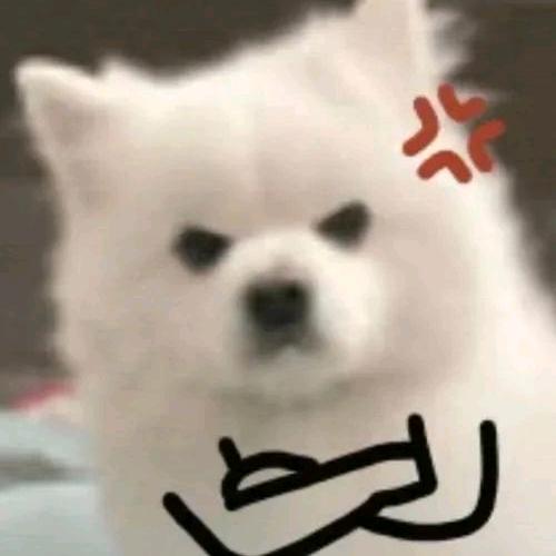 琪琪怪怪