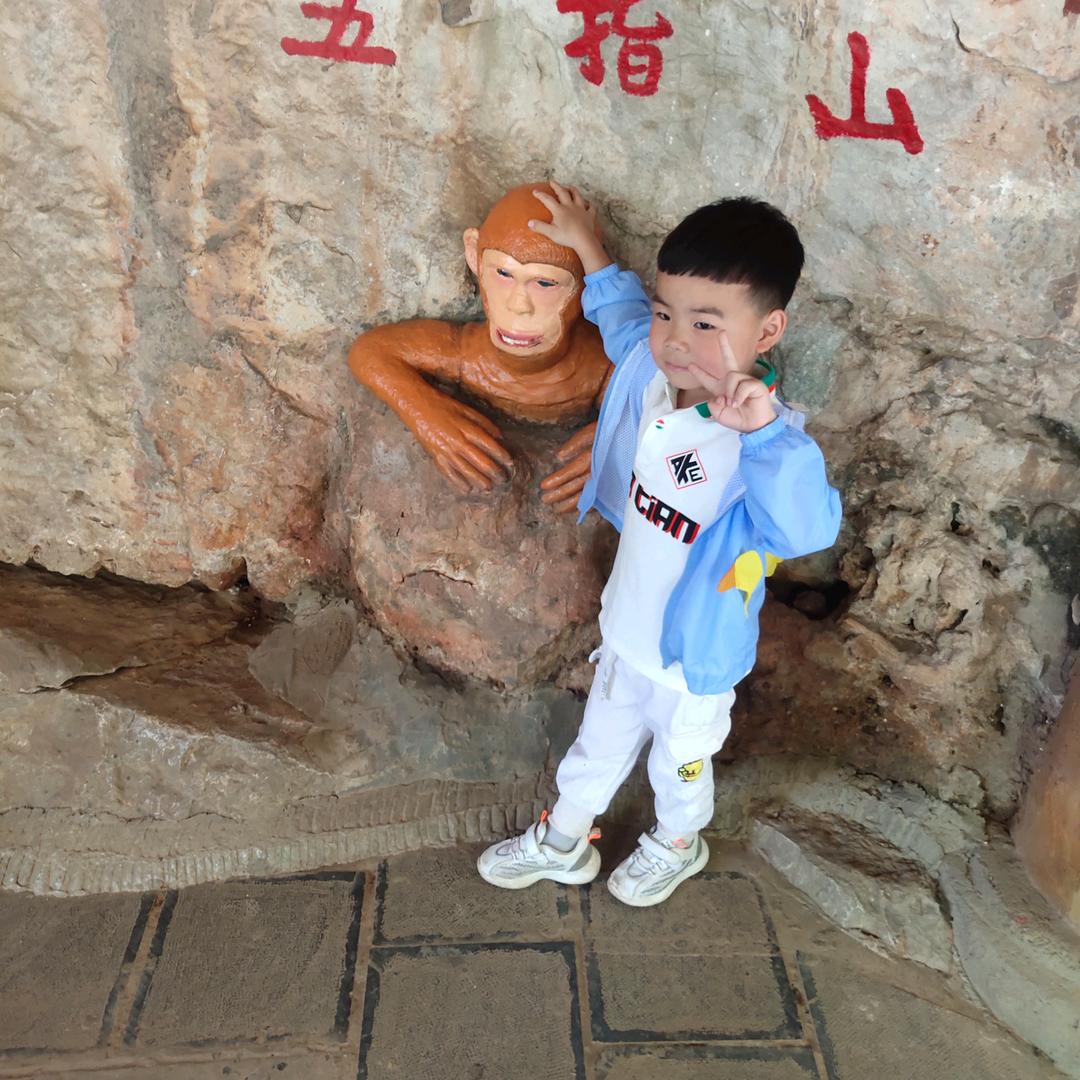 ╰诗人诗意仅于情i