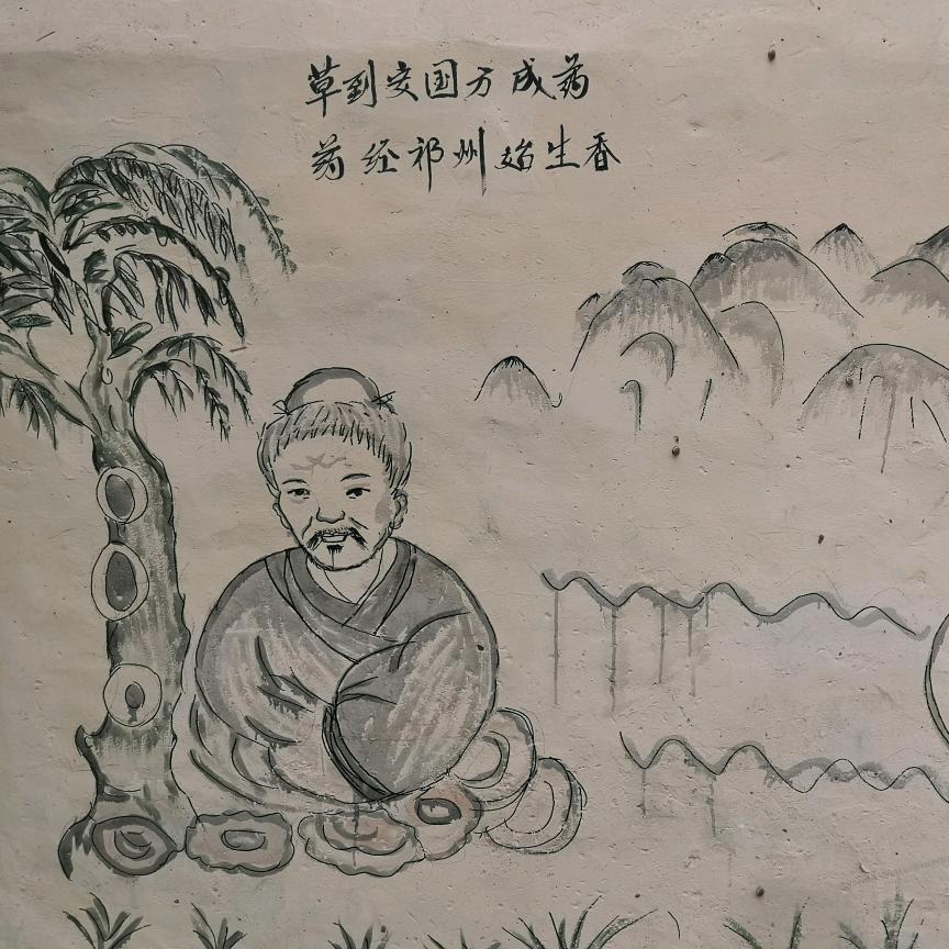 极致冷背