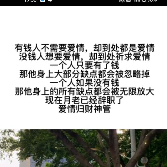 あ走马关花☼