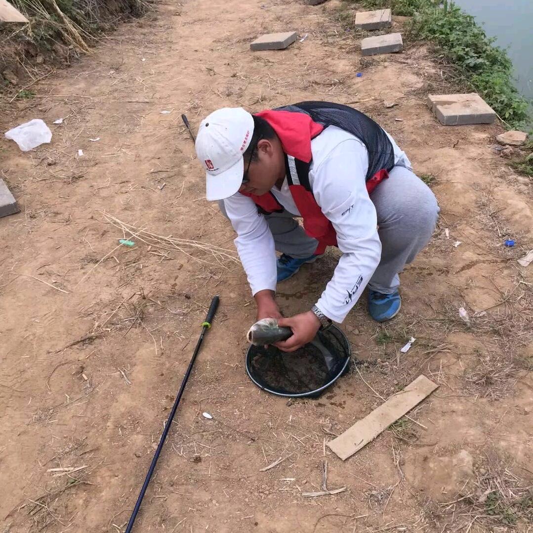 🐠大鲫大鲤🐠