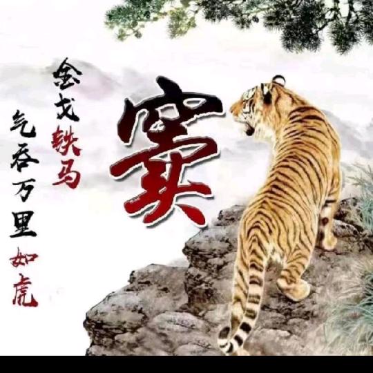甘肃窦哥