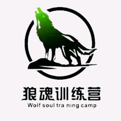 狼魂训练营