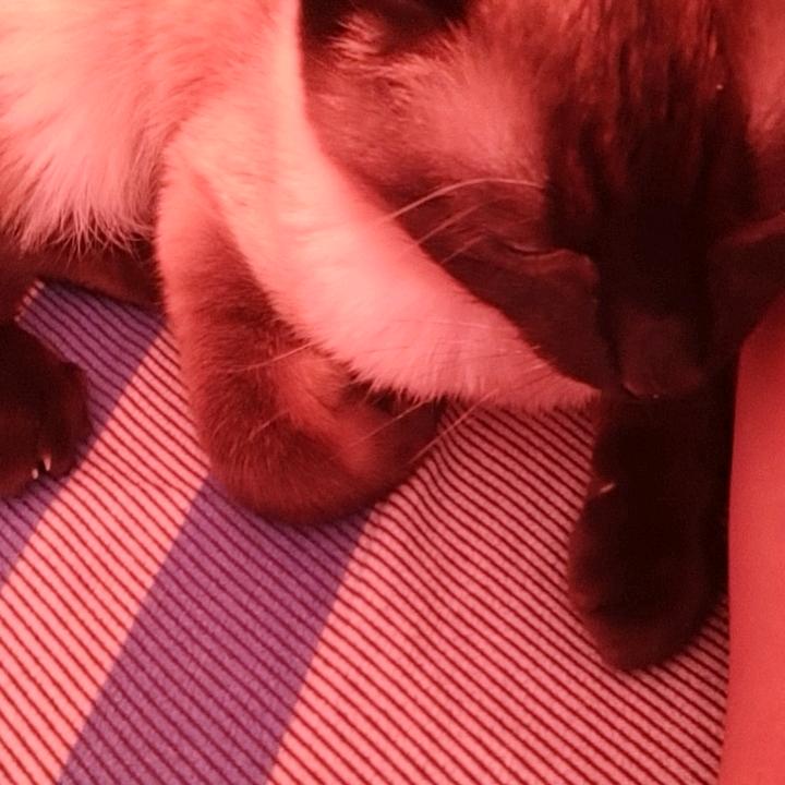 小雨