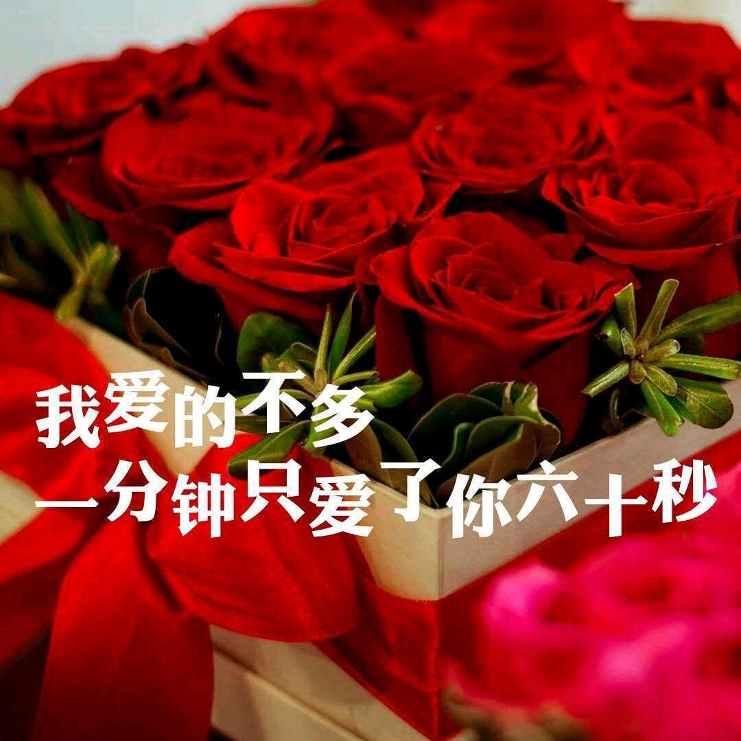 用一辈子珍惜你