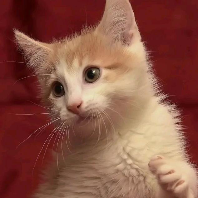 用户7975165726269左岭新城，