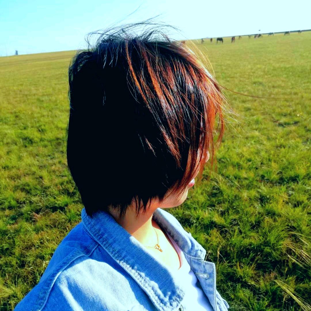 茉冉