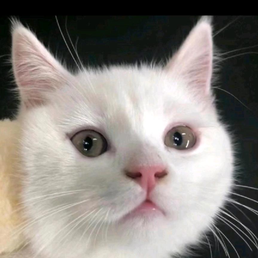 🥀᭄你若安好꧔ꦿᩚ便是晴天💕