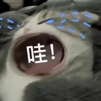 小目标【三角洲行动】纯绿跑刀