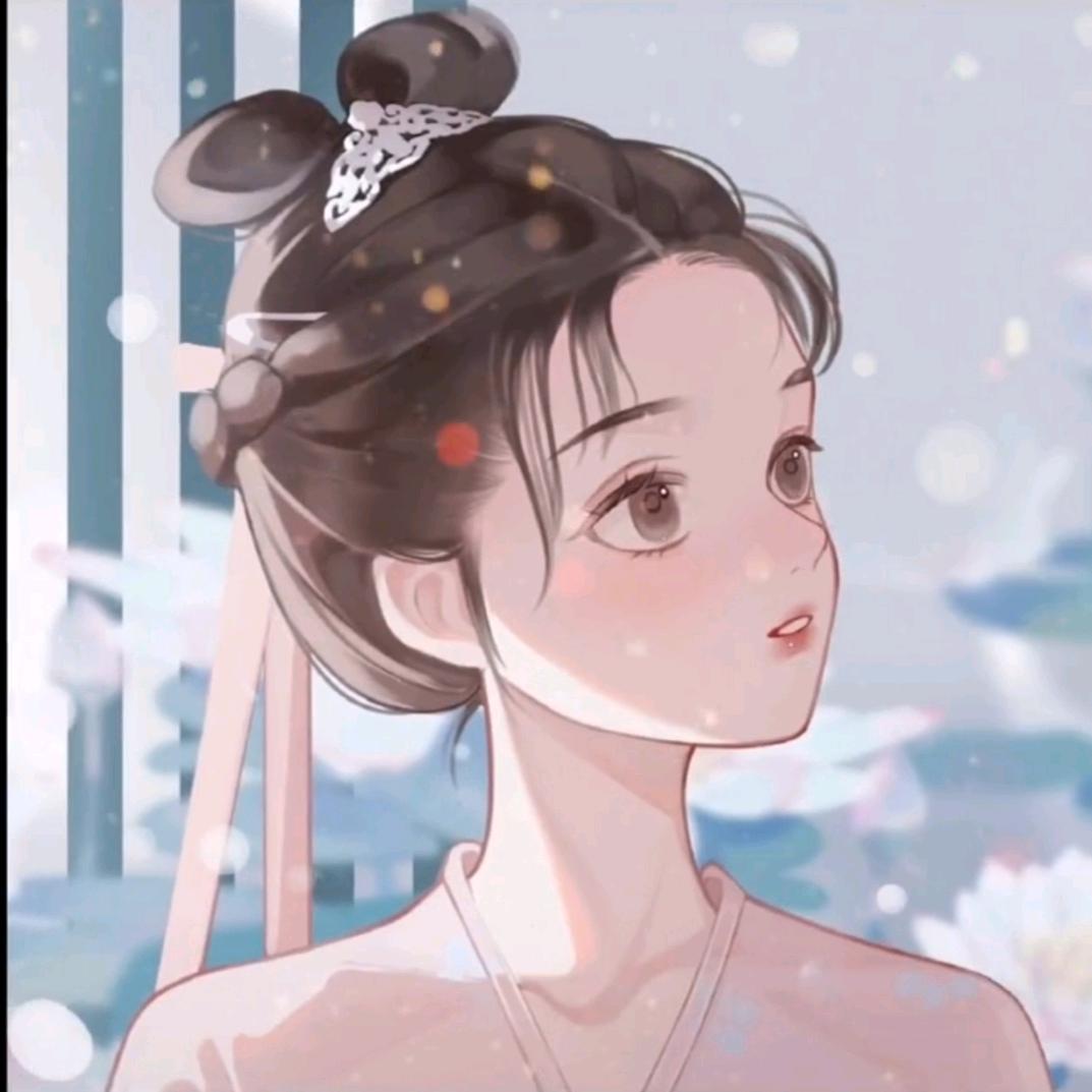 深巷里的猫
