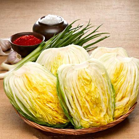 农一食品工厂销售魏