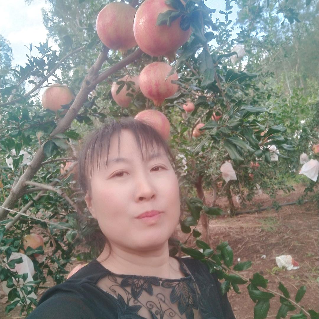 会星干洗店，皮衣翻新，改衣织布补