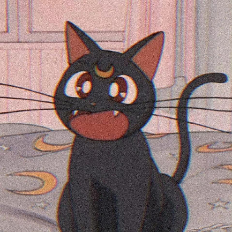 喵喵精灵