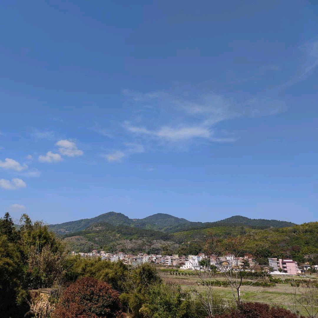 疯语