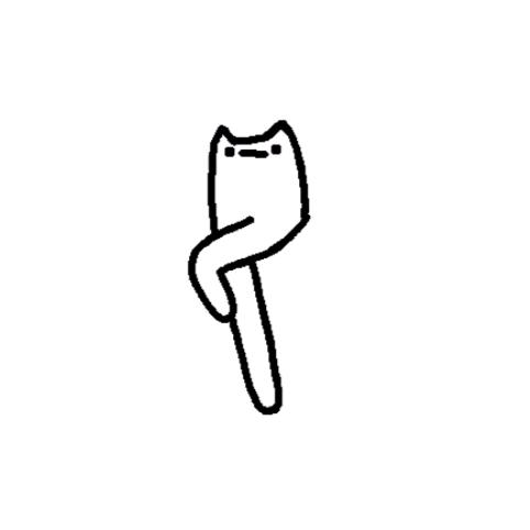 一只鳄梨猫