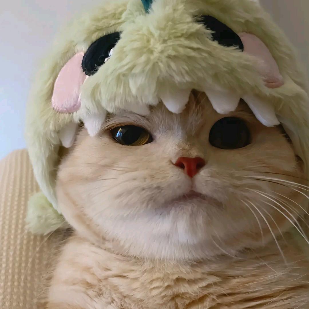 ღ᭄空ᰔᩚ空ོꦿۖ