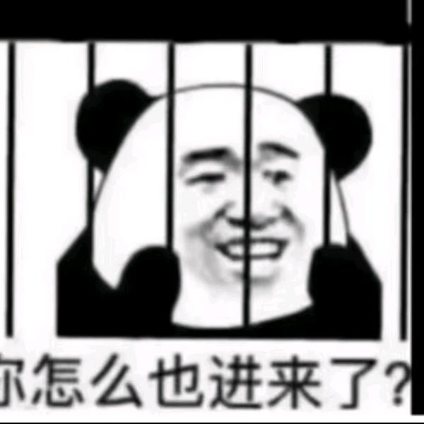 摆烂小枫