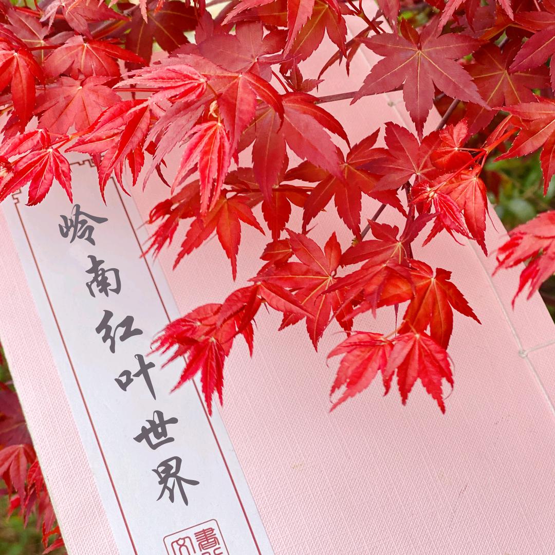 广东岭南红叶世界度假邨