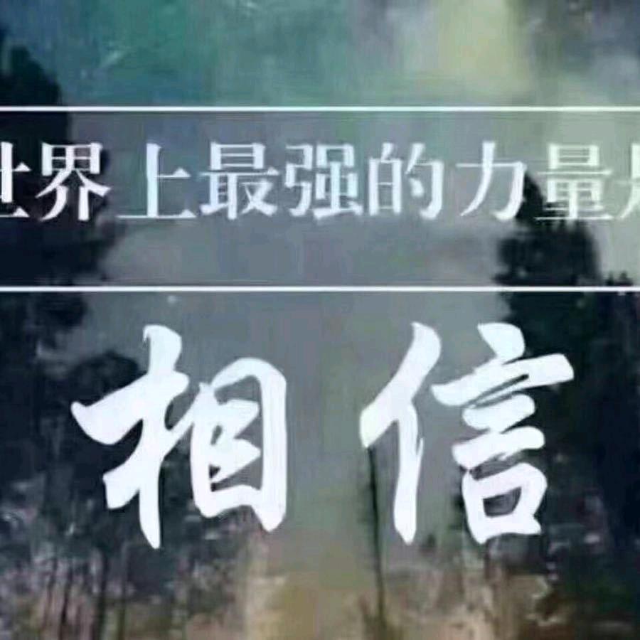 范会计—财税事务所