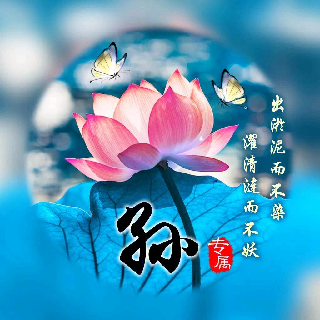 孙晓东（有关必回）