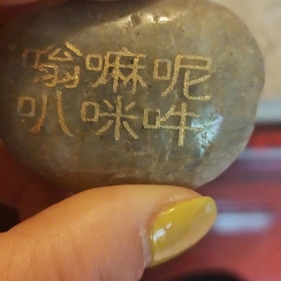 雪儿
