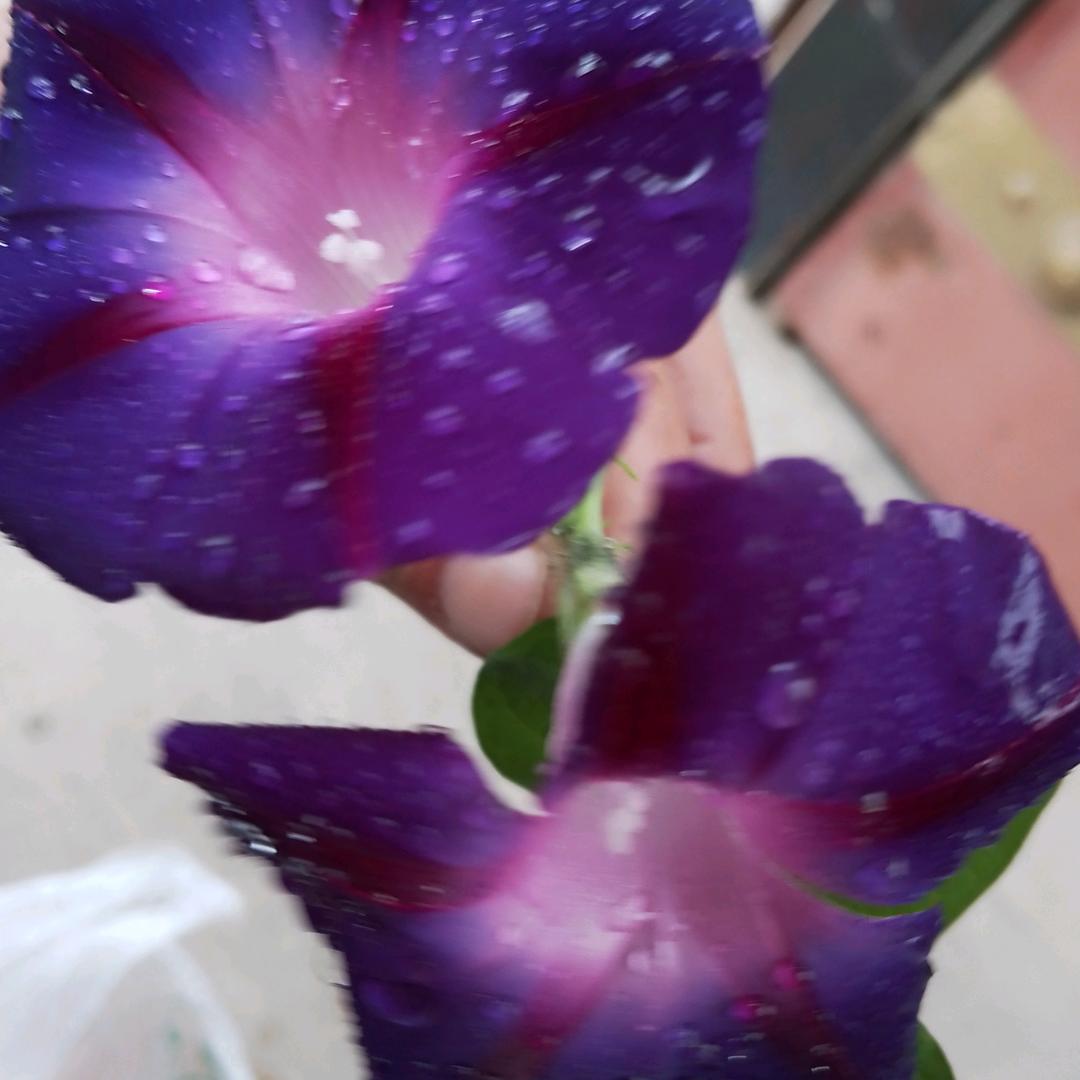 春花秋实
