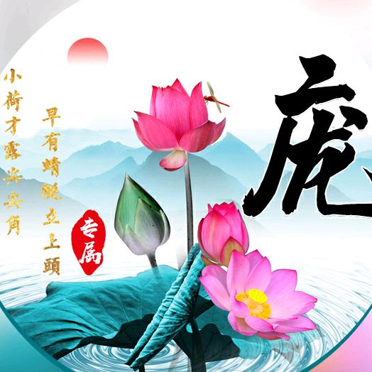 真爱一生